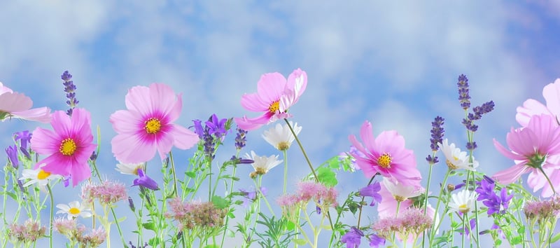 Fantasy vegetation
